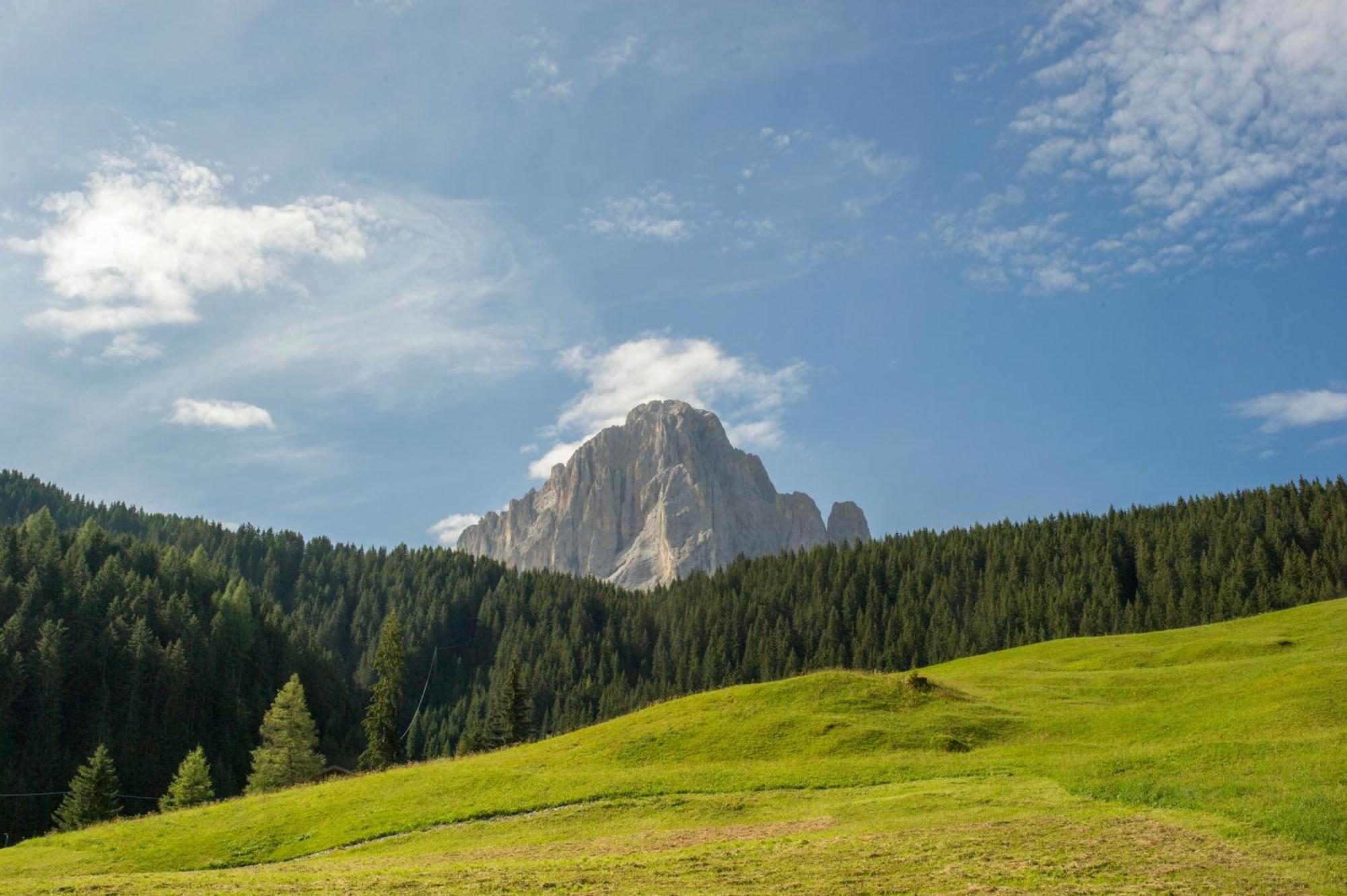 Villa Insam Sëlva di Val Gardena Eksteriør billede