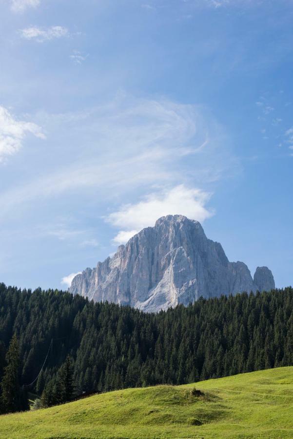 Villa Insam Sëlva di Val Gardena Eksteriør billede